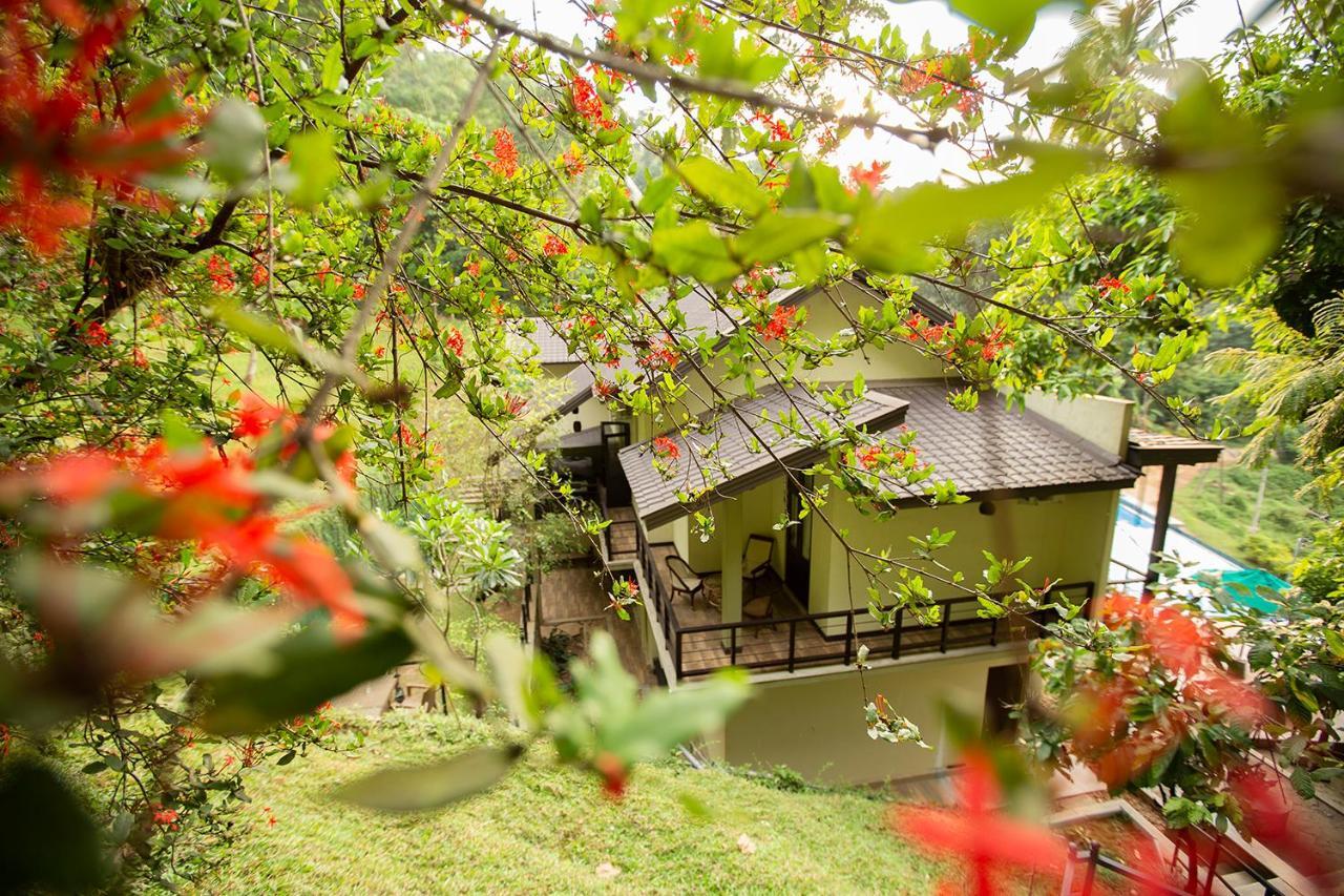 Huluganga Ridge, Kandy Karalliyadda Εξωτερικό φωτογραφία